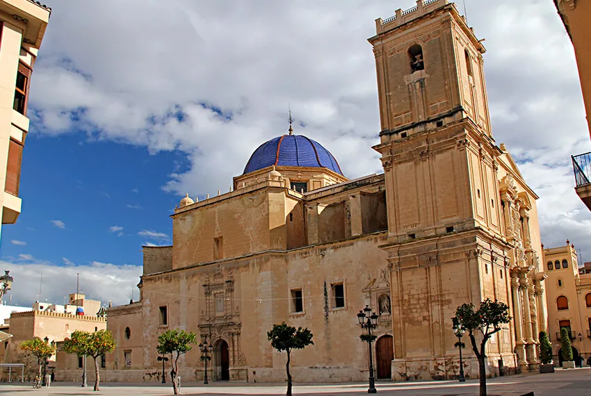 Elche,El Palmeral de Elche,El Misteri d'Elx,Cultura