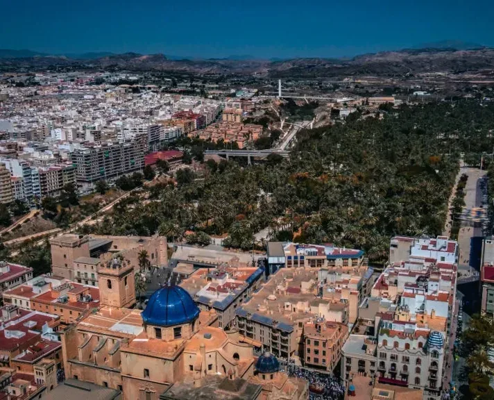 Elche,El Palmeral de Elche,El Misteri d'Elx,Cultura